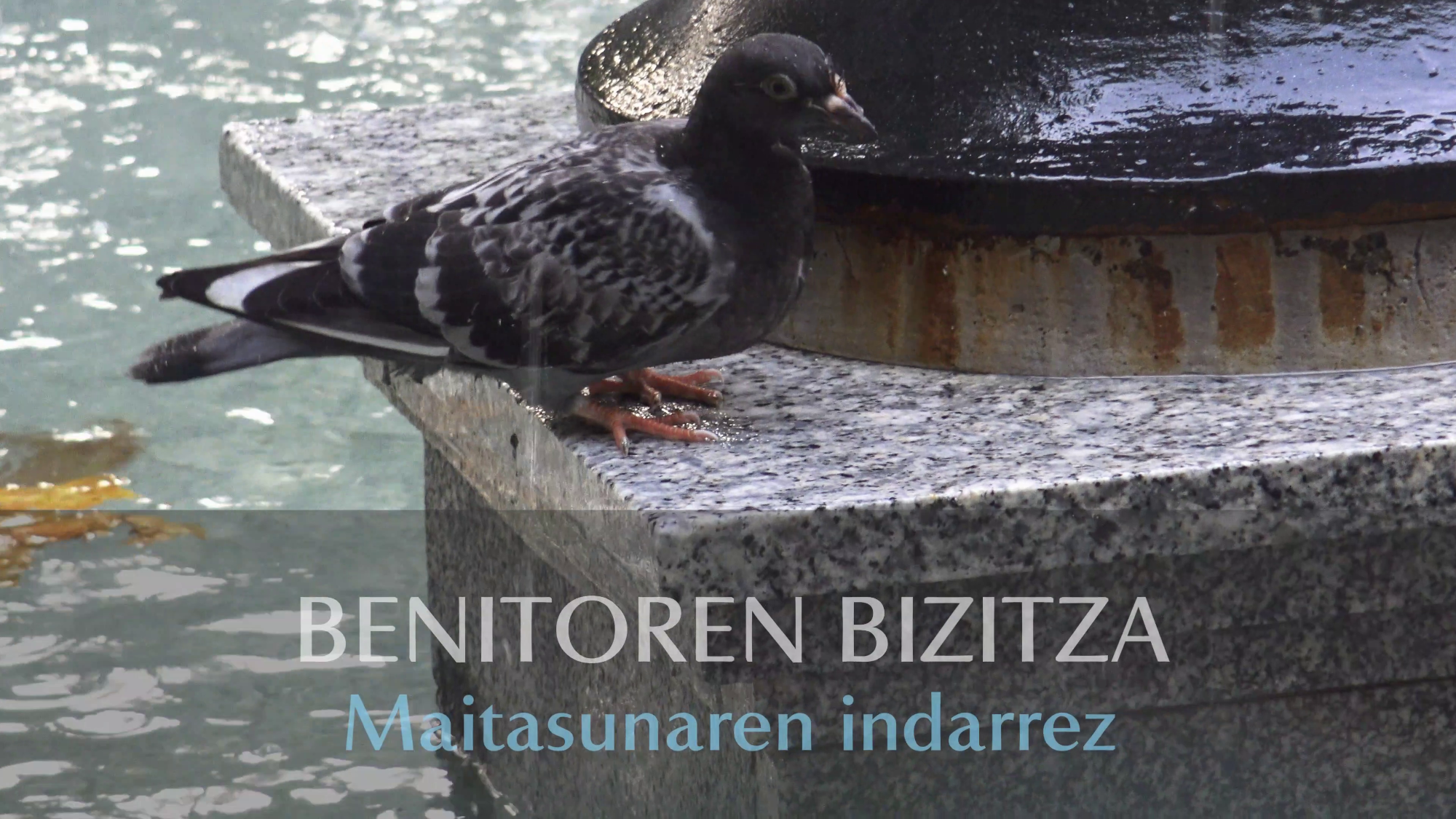 Benitoren Bizitza Maitasunaren Indarrez